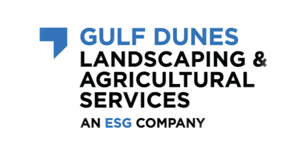 Gulf Dunes